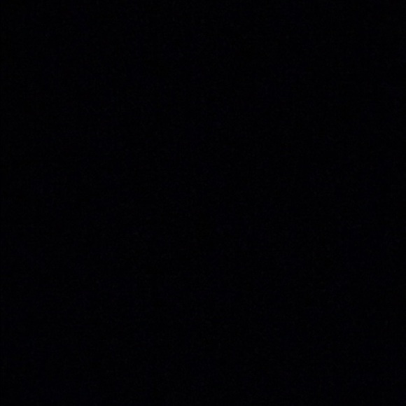 Meet your Posher, Wyatt - Picture 1 of 1