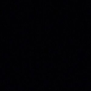 Meet your Posher, Wyatt