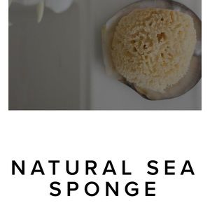 India Hicks sea sponge - new in box