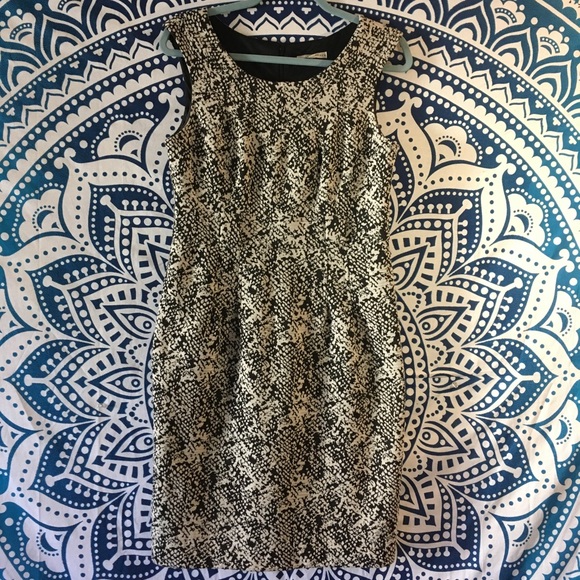 Sandra Darren Dresses & Skirts - Sandra Darren Black Ivory Dress Designer Size 10