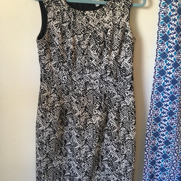 Sandra Darren Black Ivory Dress Designer Size 10 - Picture 5 of 6