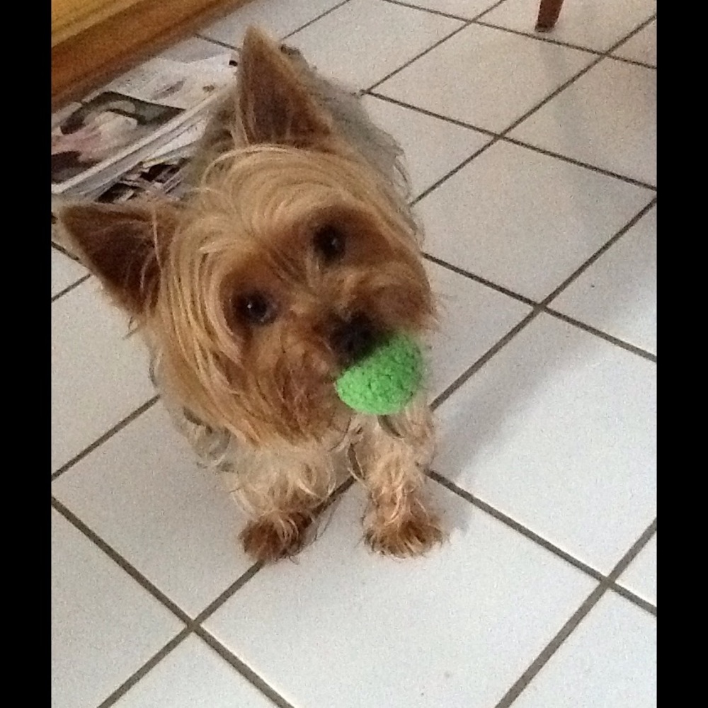 Meet your Posher, Mary