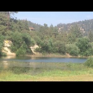 Meet your Posher, Landon