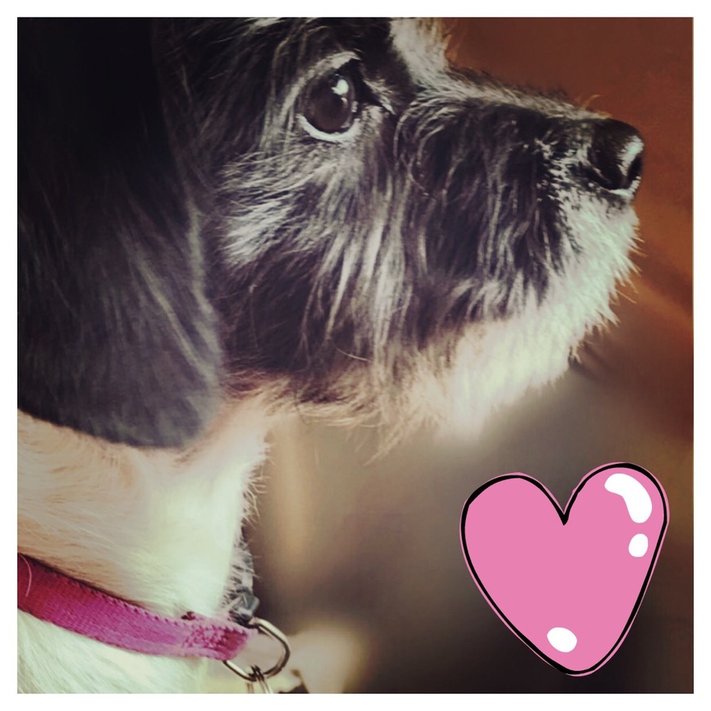 Meet Lola