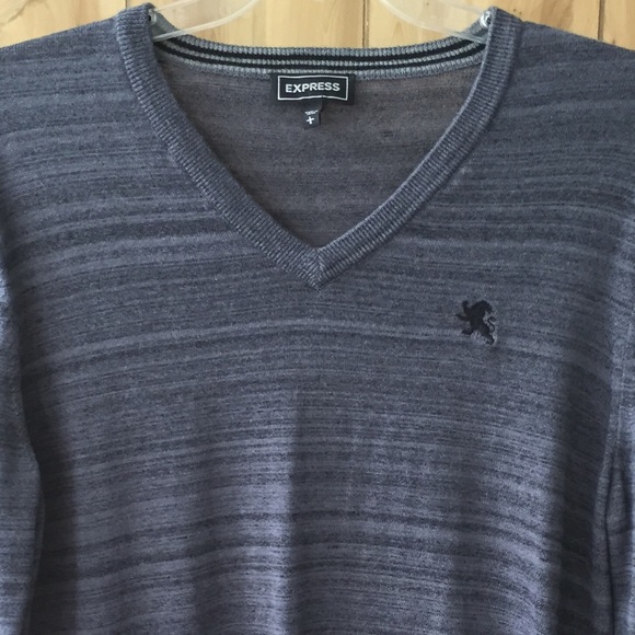 Express Other - Express Mens V-Neck Sweater