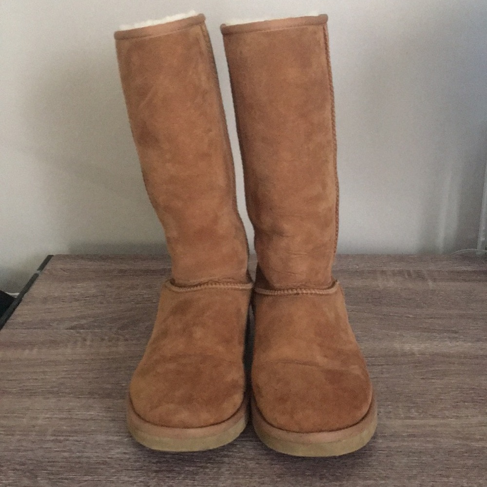 Tall Chestnut Uggs