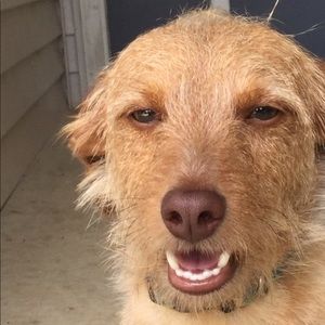 Meet your Posher, Willis