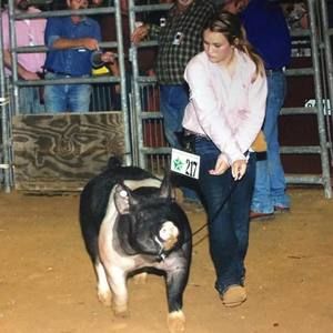 Meet your Posher, Kaylee