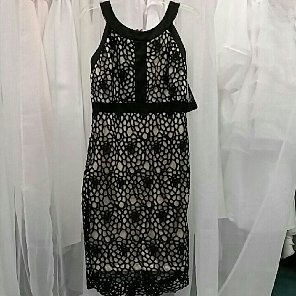 JAX Chemical Lace Sheath Dress