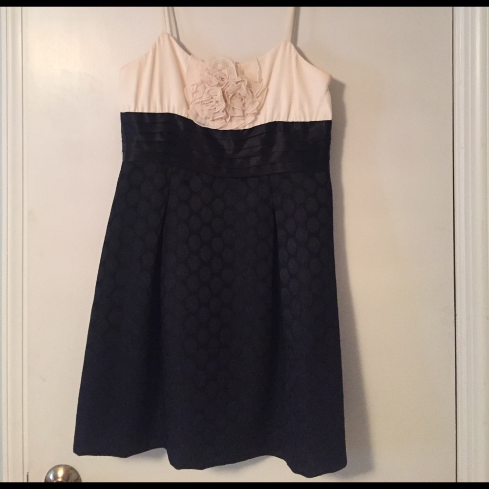 Nine West Black & Cream Cocktail Dress