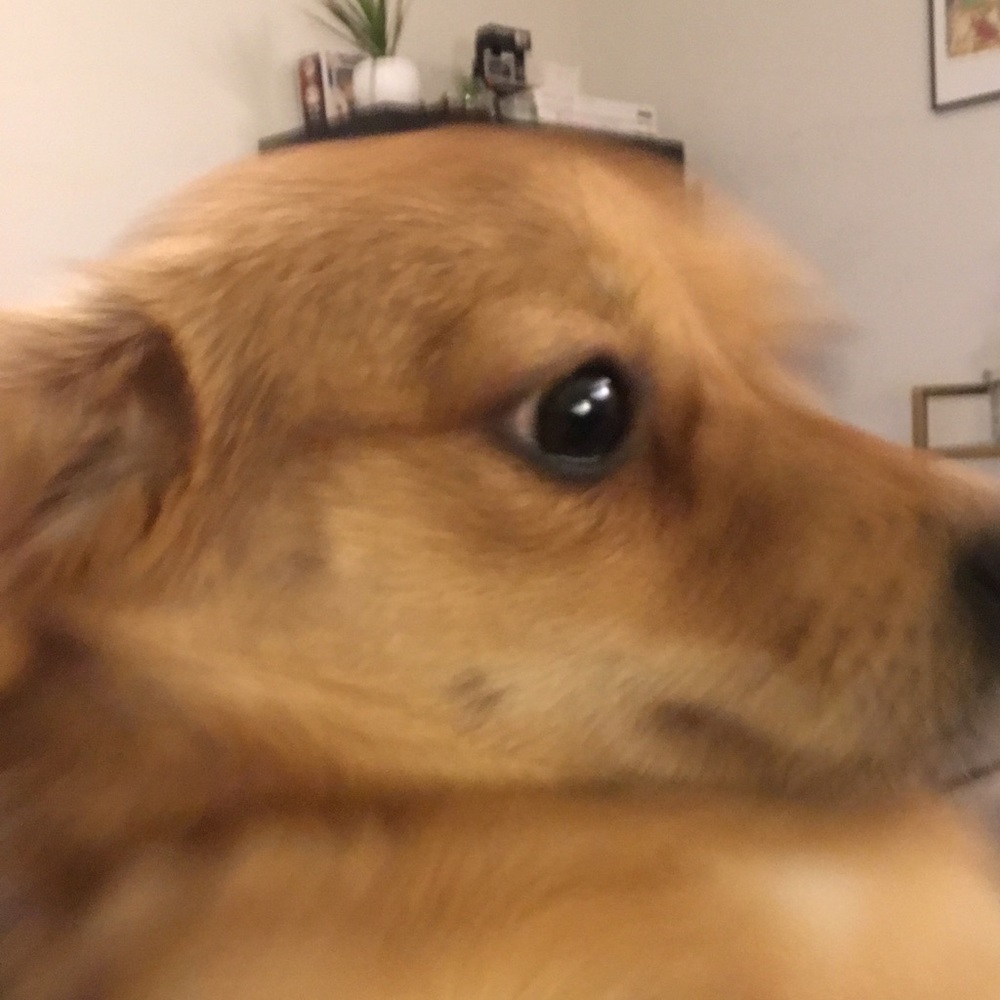 Meet your Posher, Clinton