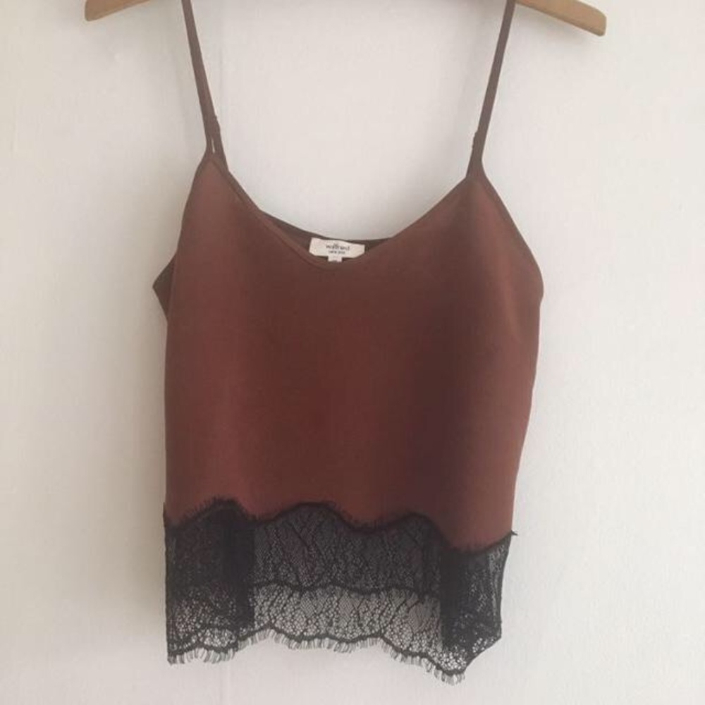 Aritzia Silk and lace crop top