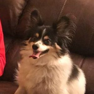 Meet your Posher, Will