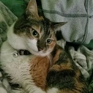 Meet your Posher, Kathryn