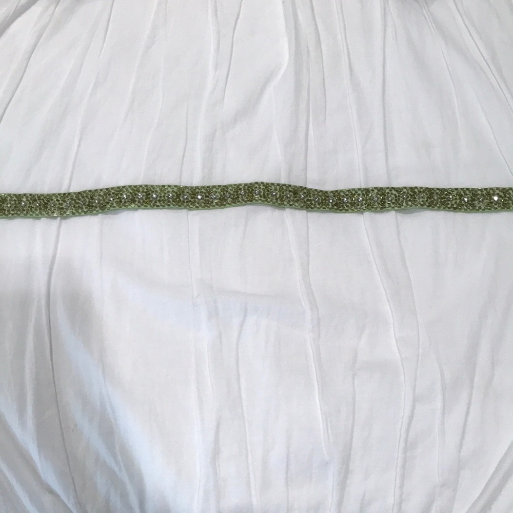 J crew sparkly belt