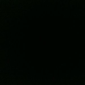 Meet your Posher, Desirae