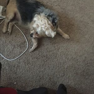 Meet your Posher, Pamela