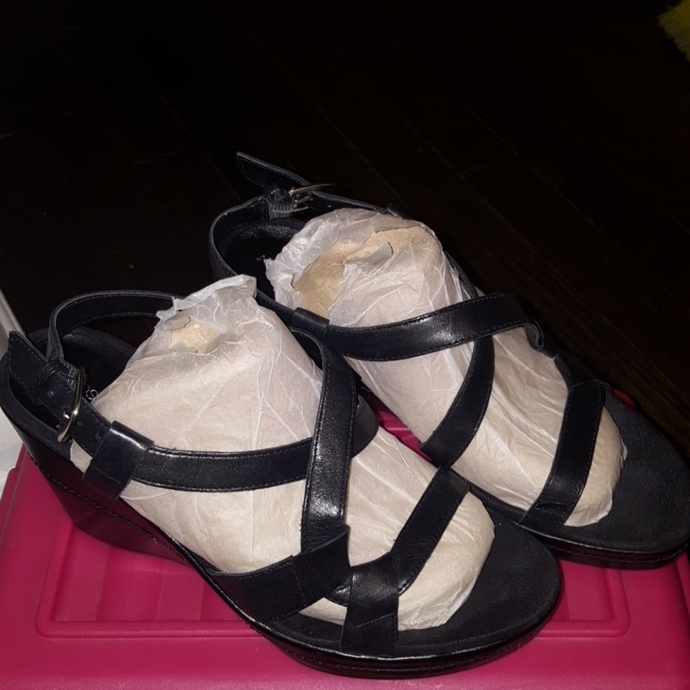 Black Wedges