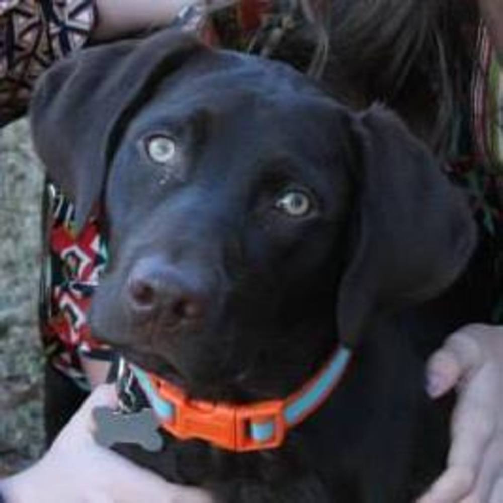 Meet your Posher, Shannon