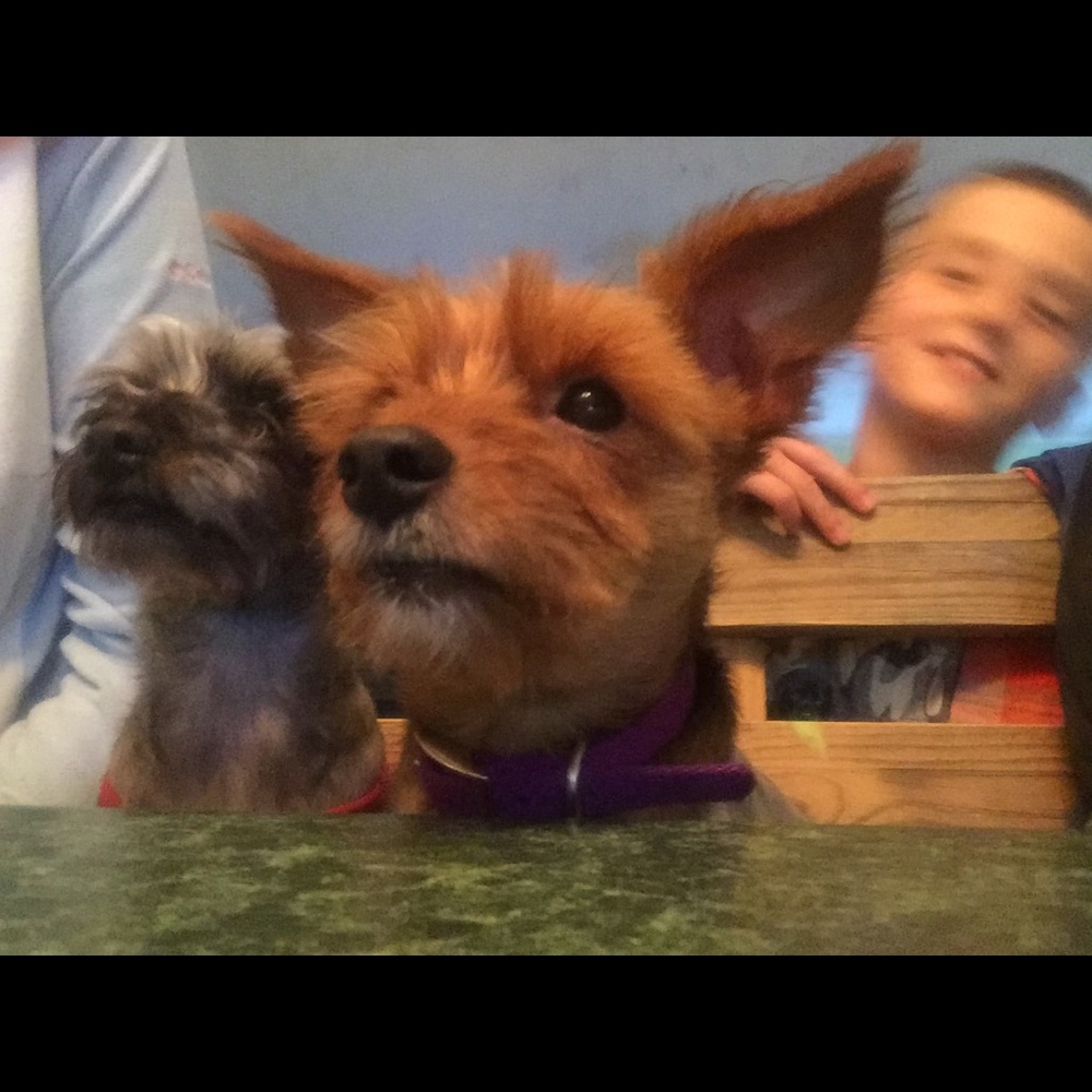 Meet your Posher, Candace