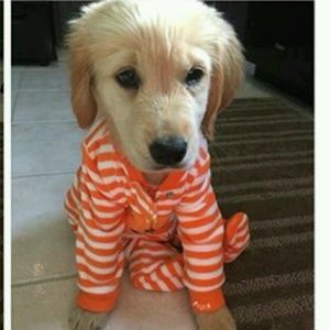 Meet your Posher, Anon