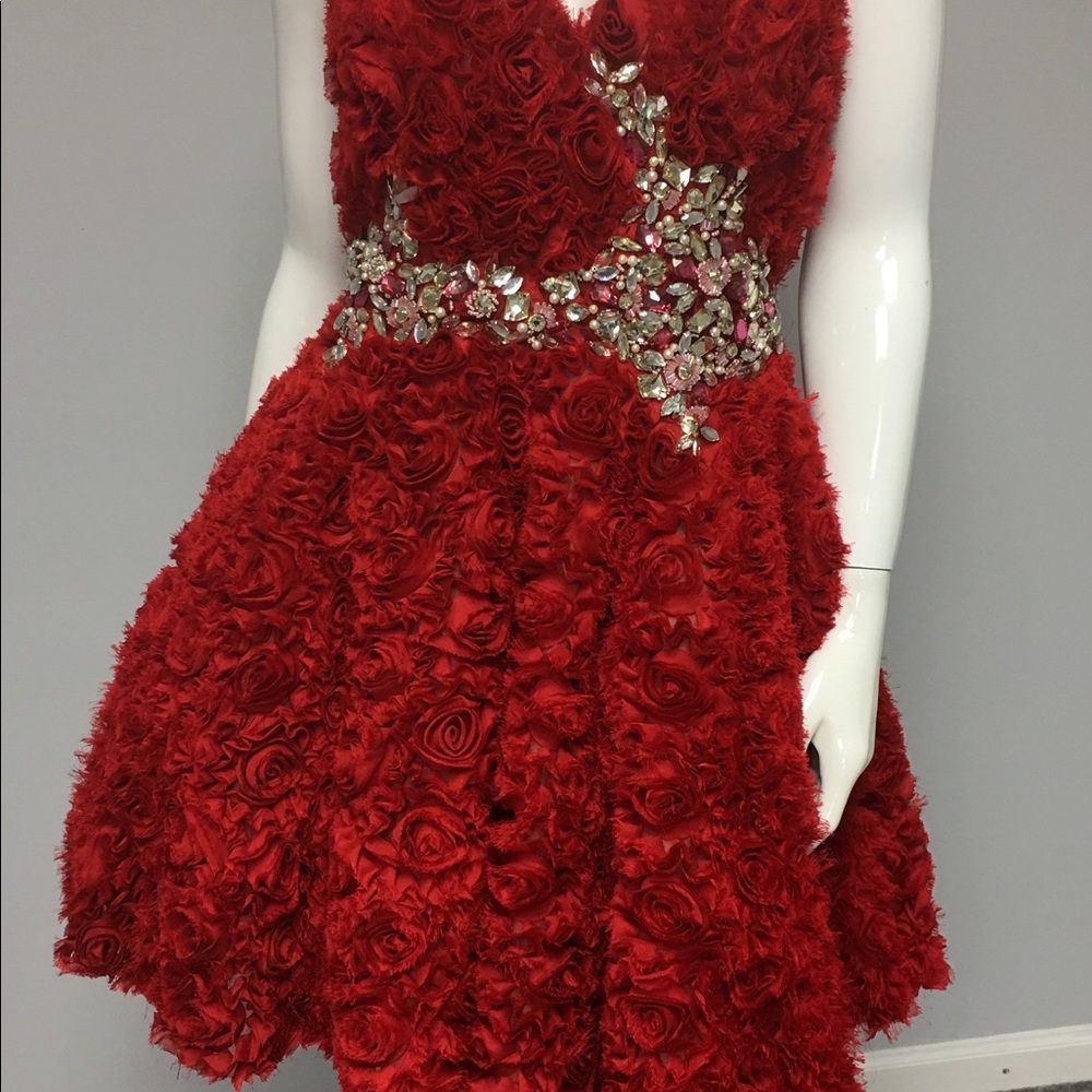 NEW!!  Terani Couture Flirty Cocktail Dress