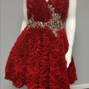 NEW!!  Terani Couture Flirty Cocktail Dress