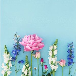 Meet your Posher, Jocelyn