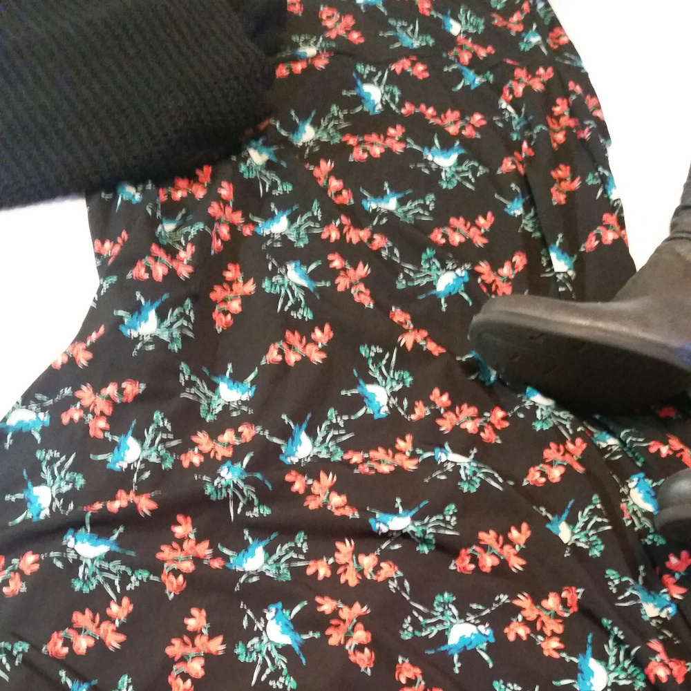 Lularoe Maxi skirt with bluejays