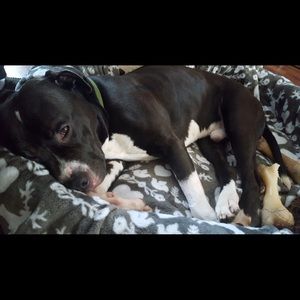 Meet your Posher, Christa