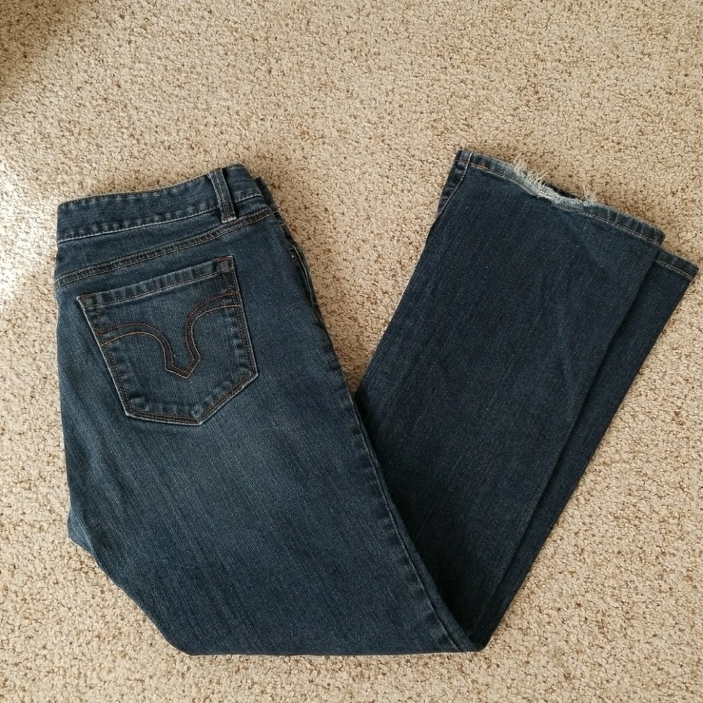 Ann Taylor Loft boot cut curvy jeans