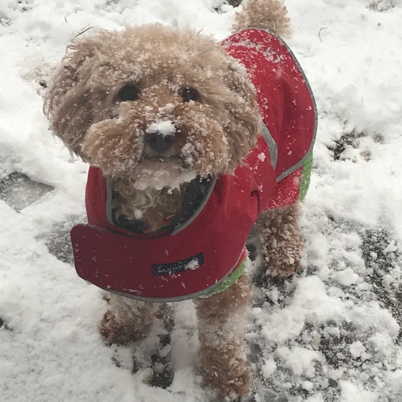 Meet your Posher, Kristin - Picture 2 of 3