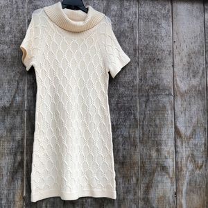 Banana Republic sweater dress
