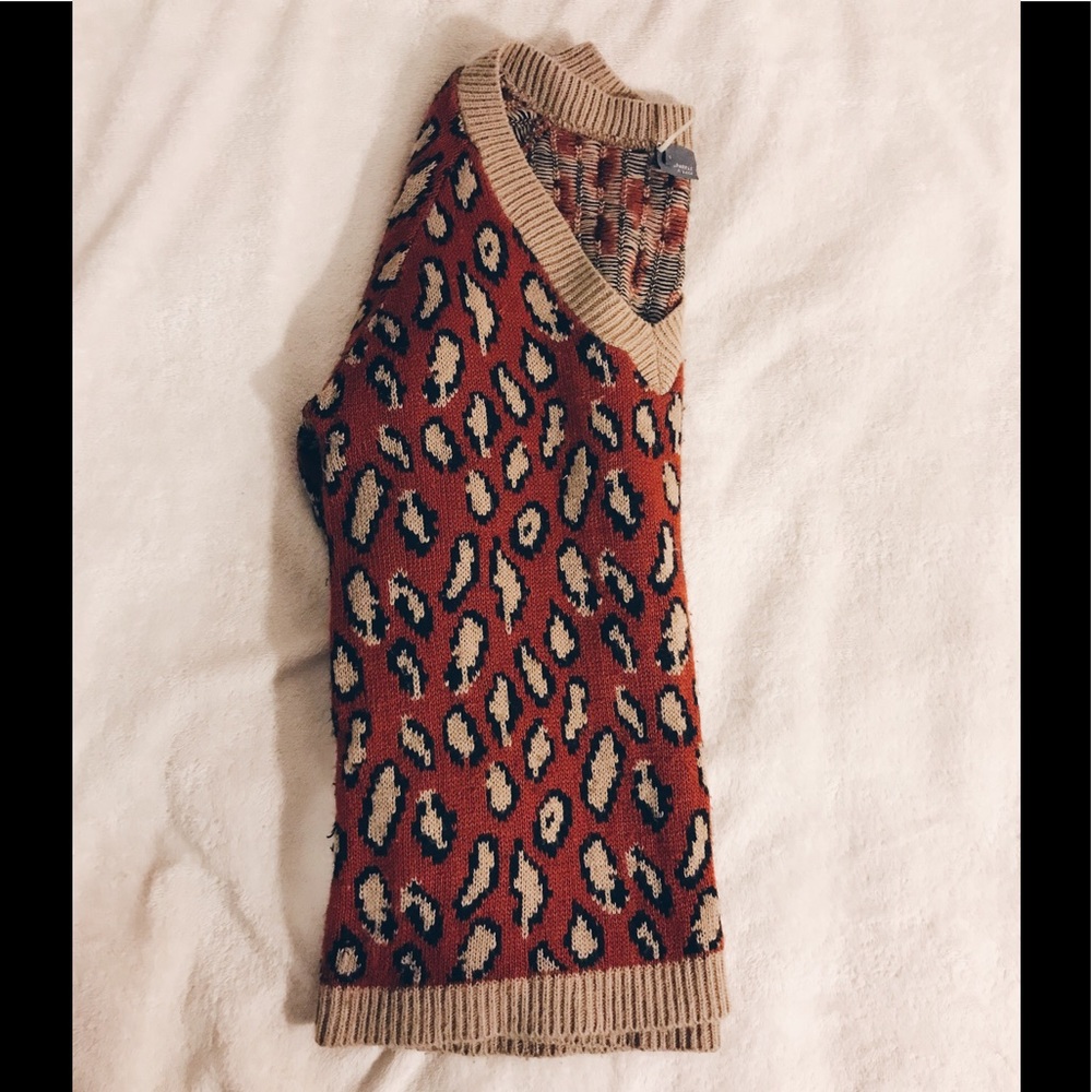 Cheetah V-Neck Sweater 🐆