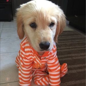 Meet your Posher, Taylor anne