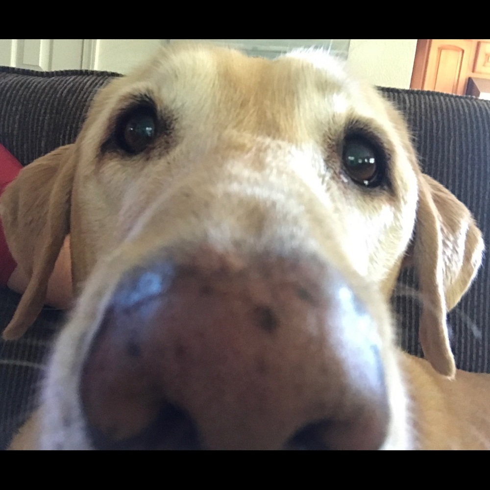 Meet your Posher, Eve