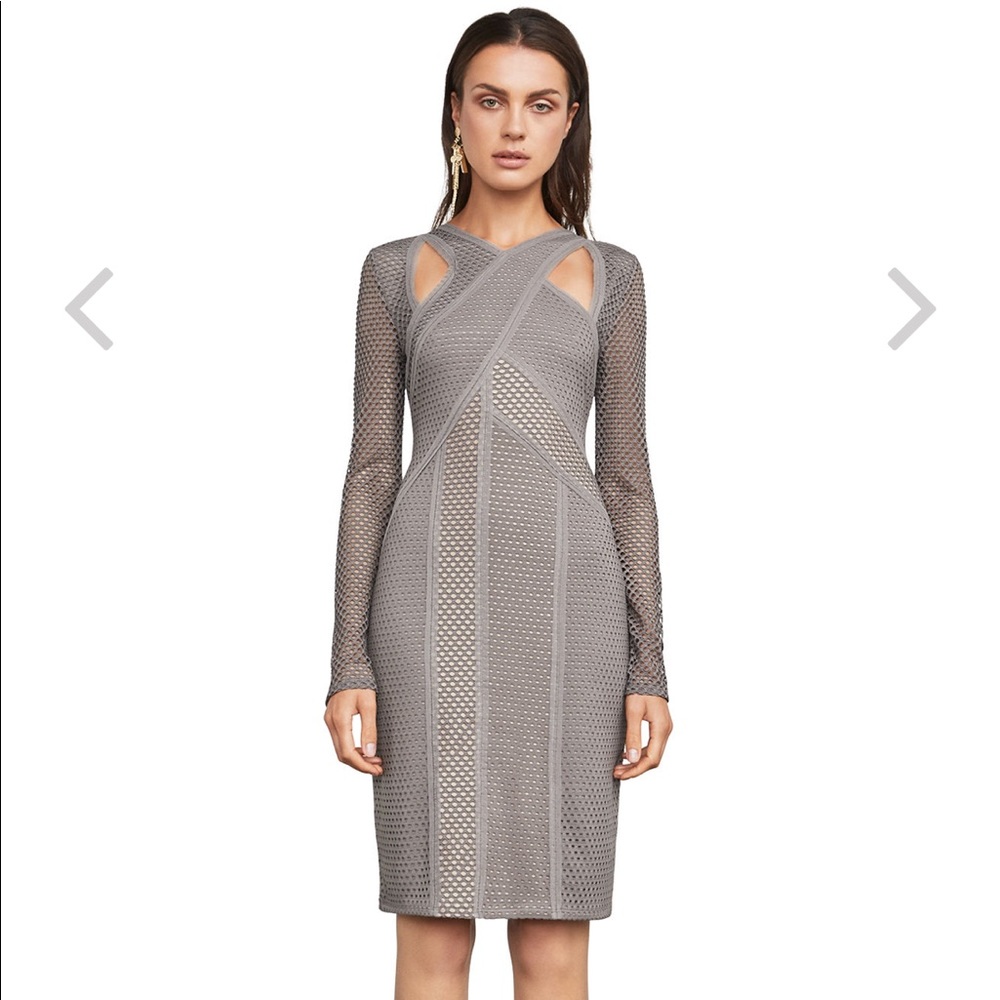BCBG Maxazria Mesh Bodycon Dress