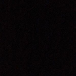 Meet your Posher, Sheyla