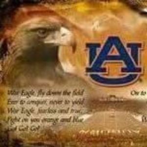 Meet your Posher, Geraldine