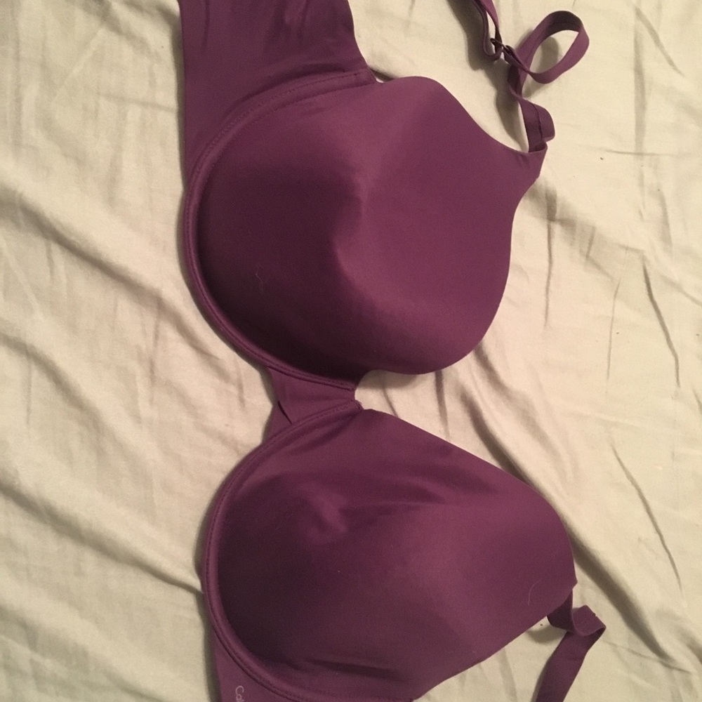 Calvin Klein 36ddd purple