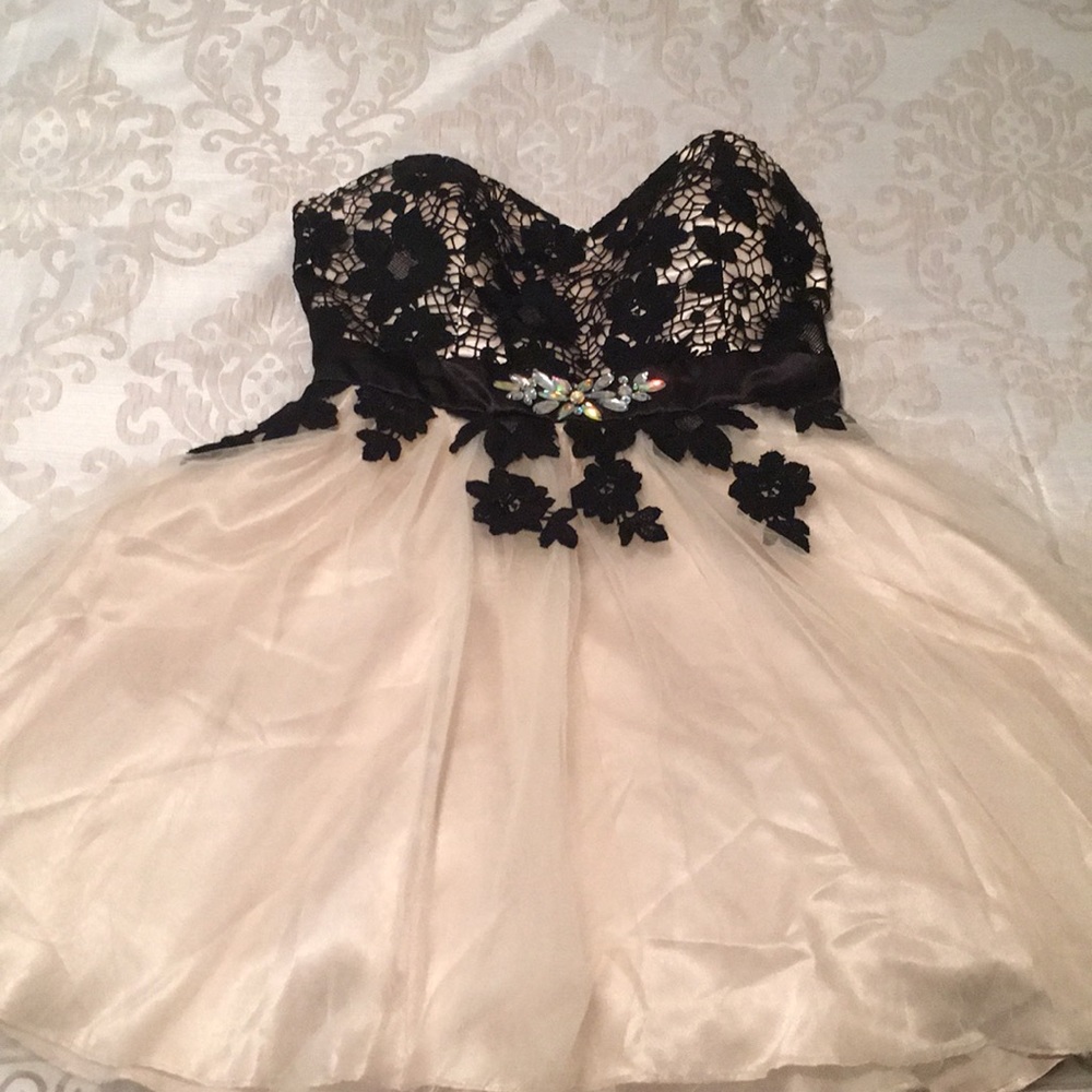 Black and Beige Lace Dress