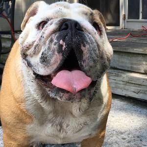 Meet your Posher, Robert