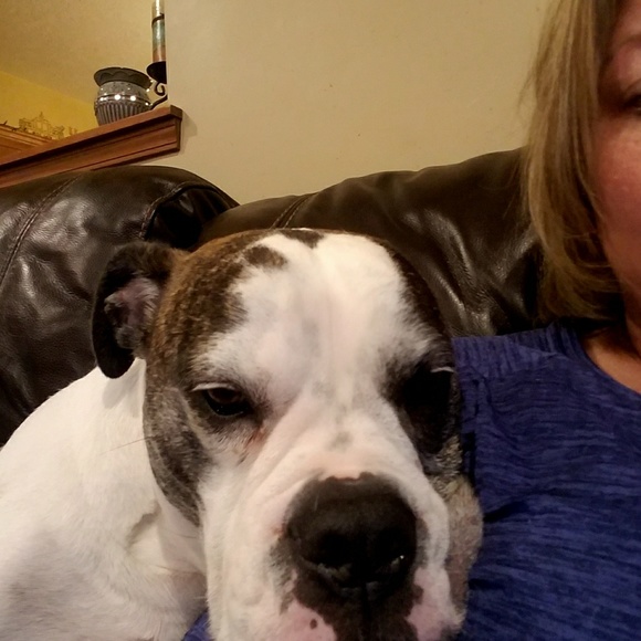 Meet your Posher, Stacy - Picture 2 of 4