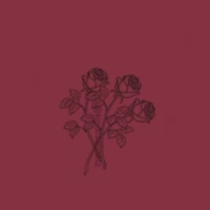 Meet your Posher, Savannah