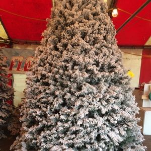 Meet your Posher, Ava