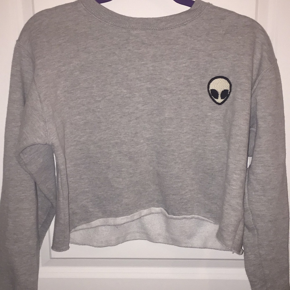 Cropped Grey Sweatshirt