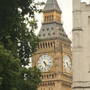 Meet your Posher, Wanda