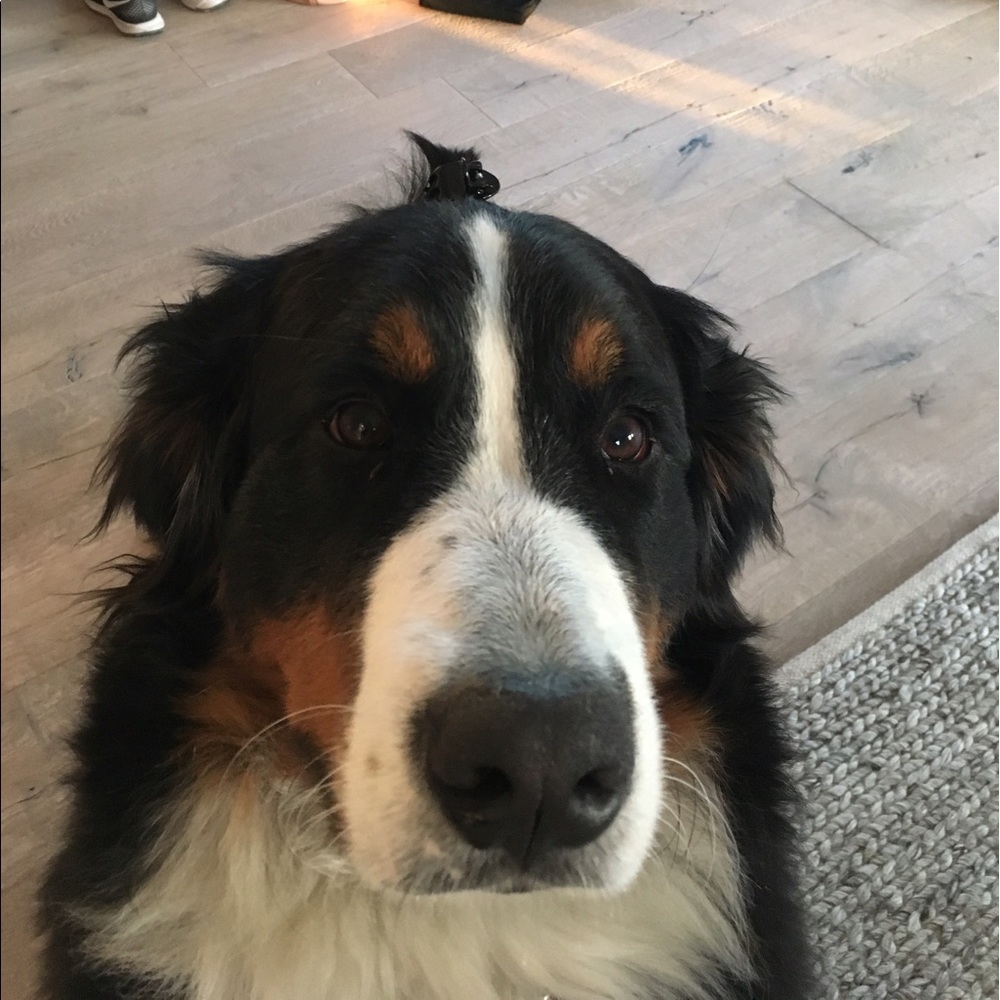 Meet your Posher, Kelli