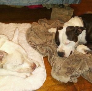 Meet your Posher, Amada