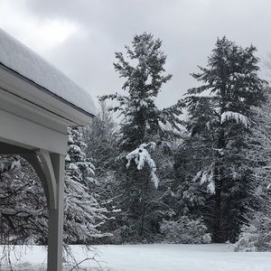 Meet your Posher, Liz